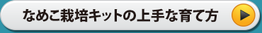 なめこ栽培キットの上手な育て方